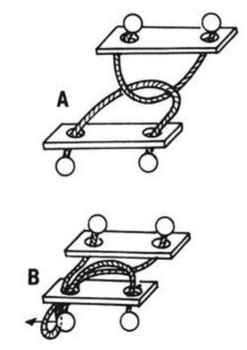 Mini-Knobelspiel Der indische Seiltrick Lsung